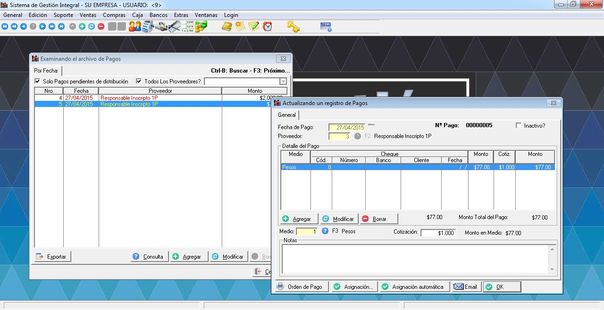 SD Gestion Inicial - Ficha de Pagos