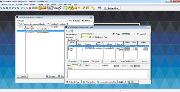 SD Gestion Medium - Ficha de Pagos